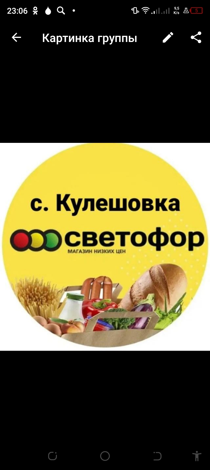 Логотип группы Магазин Светофор