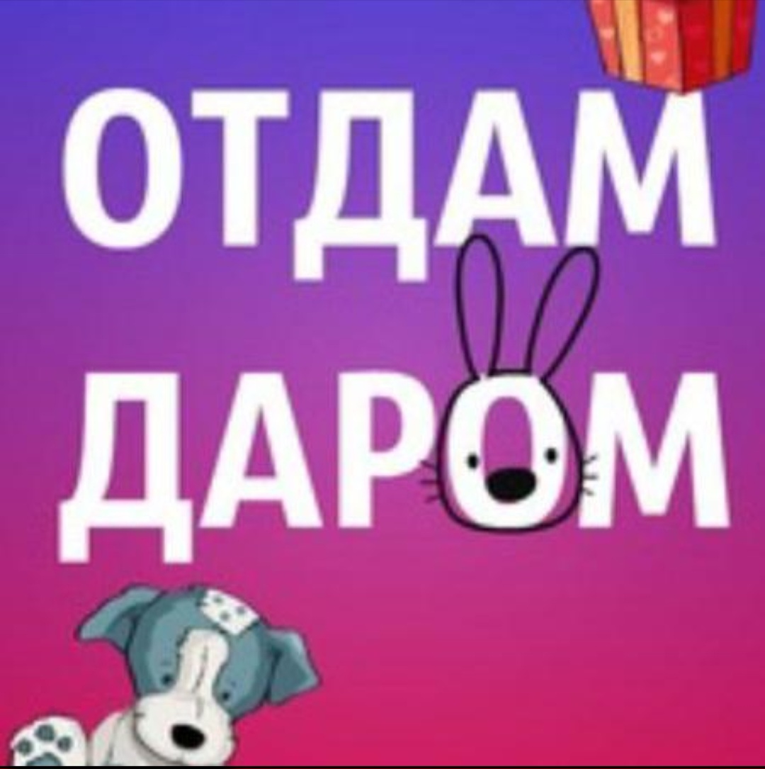 Логотип группы Отдам даром Ростов 