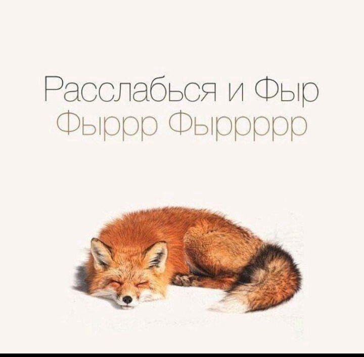 Логотип группы Lisena🦊