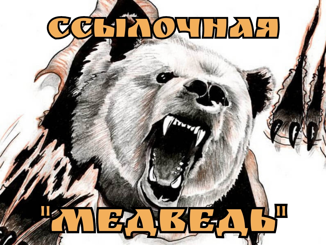 Логотип группы Ссылочная Медведь