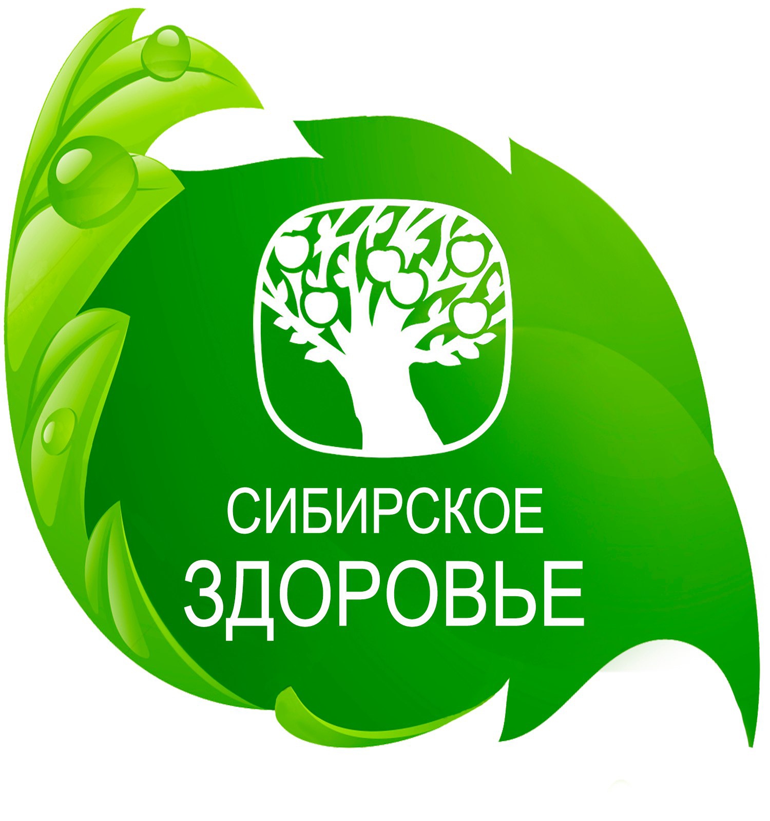 Логотип группы Сибирское здоровье со Светланой