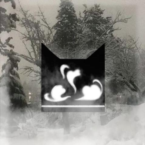 Логотип группы Племя Туманных Ночей 
