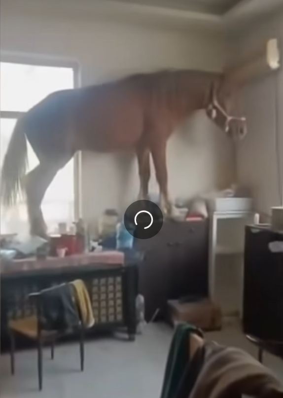 Логотип группы Для размышляющих людей