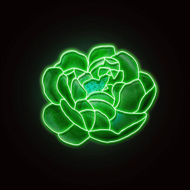 Логотип группы ЭКО-МАРКЕТ greenway