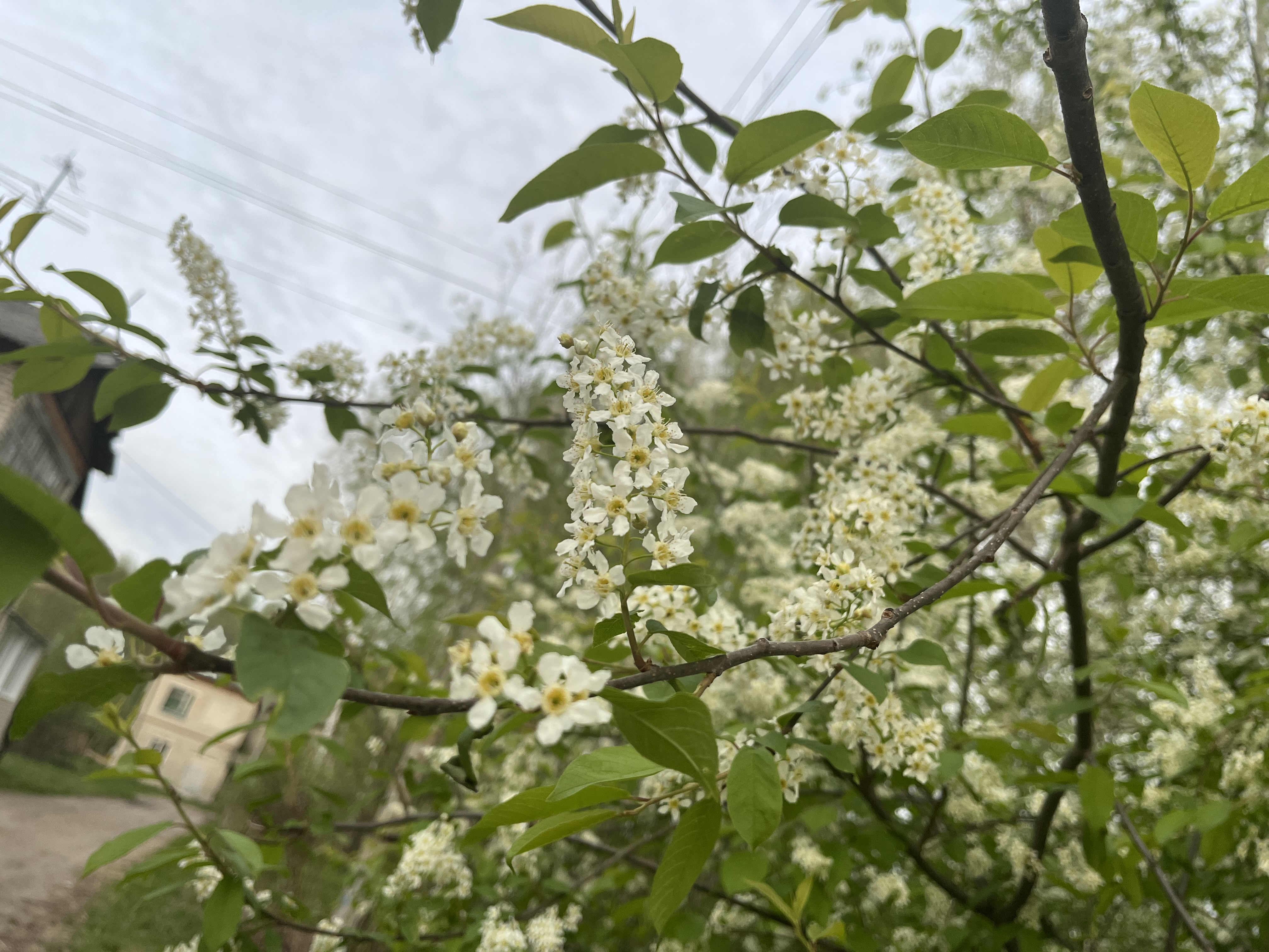 Логотип группы ПОДАРКИ ОТ УЛЬКИ