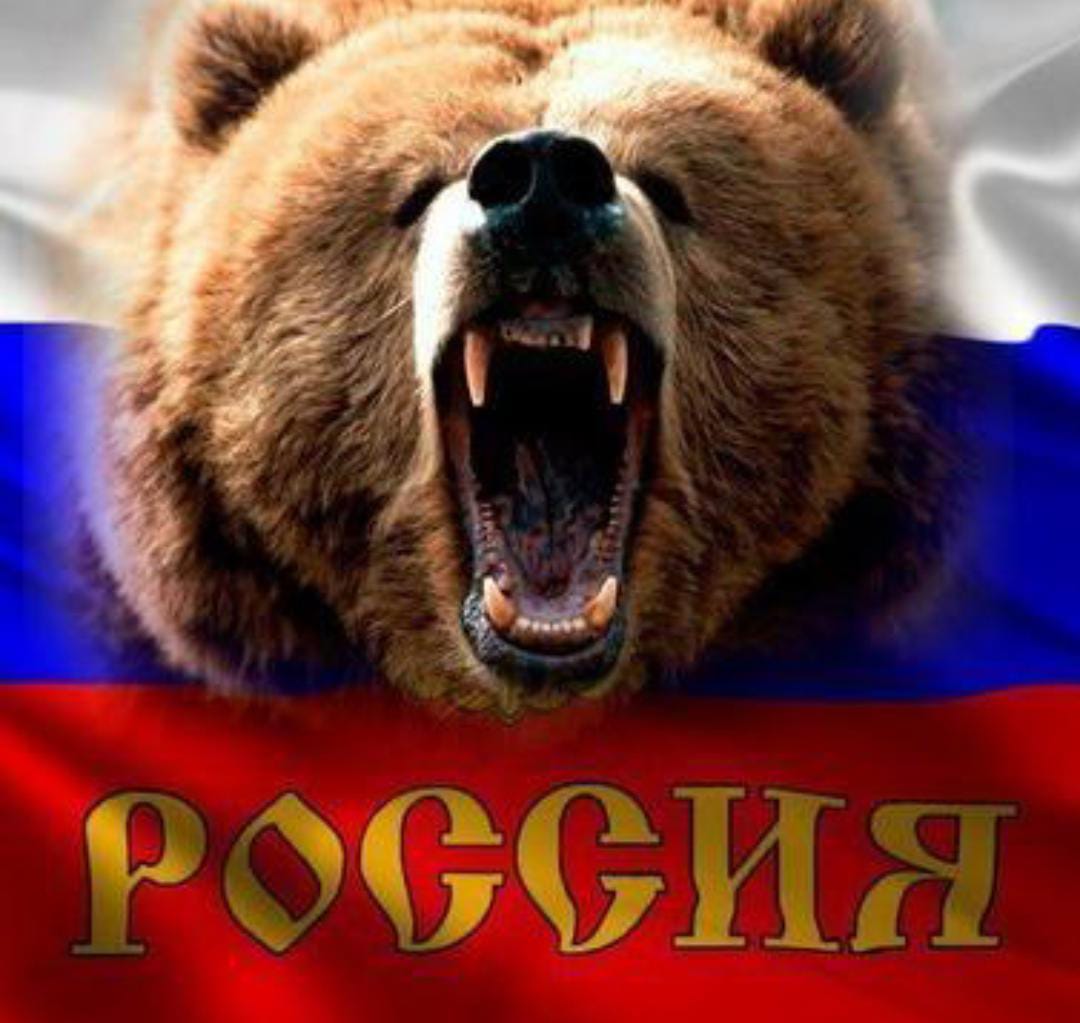 Логотип группы  🇷🇺©️сылочная России🇷🇺